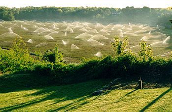 Wood Duck Inn Борн Екстер'єр фото